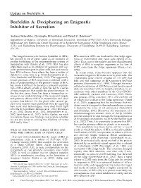 Brefeldin A: Deciphering an Enigmatic Inhibitor of Secretion