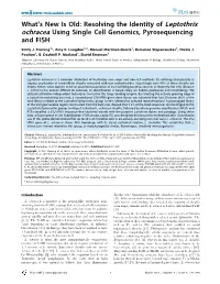 Ochracea Using Single Cell Genomics, Pyrosequencing and FISH