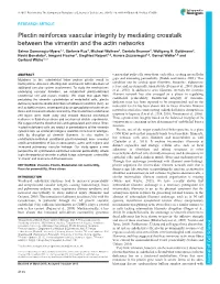 Plectin Reinforces Vascular Integrity by Mediating Crosstalk Between the Vimentin and the Actin Networks