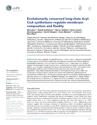 Evolutionarily Conserved Long-Chain Acyl- Coa Synthetases Regulate Membrane Composition and Fluidity