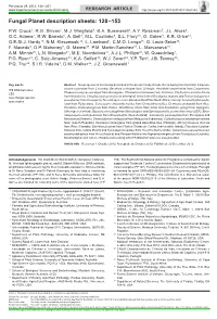 Fungal Planet Description Sheets: 128–153
