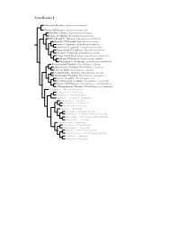 Synallaxini Species Tree