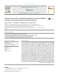 Autaptic Pacemaker Mediated Propagation of Weak Rhythmic Activity Across Small-World Neuronal Networks