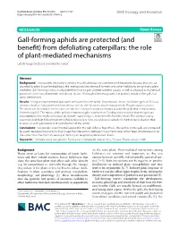 Gall-Forming Aphids Are Protected