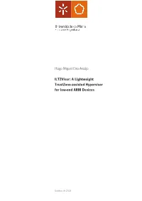 Lltzvisor: a Lightweight Trustzone-Assisted Hypervisor for Low-End ARM Devices