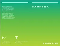 Planting Edo: a Field Guide