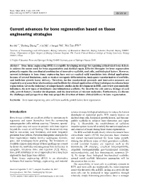 Current Advances for Bone Regeneration Based on Tissue Engineering Strategies