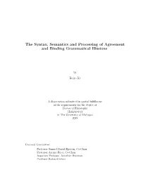 The Syntax, Semantics and Processing of Agreement and Binding Grammatical Illusions