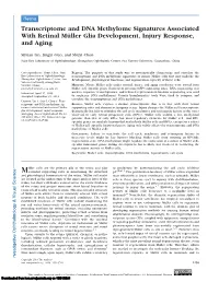 Transcriptome and DNA Methylome Signatures Associated with Retinal M¨Uller Glia Development, Injury Response, and Aging