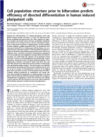 Cell Population Structure Prior to Bifurcation Predicts Efficiency of Directed Differentiation in Human Induced Pluripotent Cells