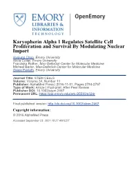 Karyopherin Alpha 1 Regulates Satellite Cell Proliferation And