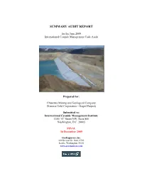 Summary Audit Report