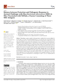 Balance Between Protection and Pathogenic Response to Aerosol