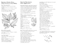 Trees for Use in Tree Wells