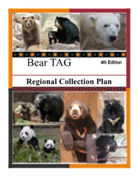 Bear TAG 4Th Edition
