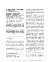Dosage-Sensitive Requirement for Mouse Dll4 in Artery Development