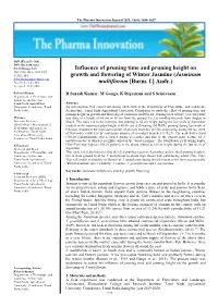 Influence of Pruning Time and Pruning Height On