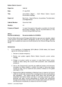 Draft Rother District Council Environment Strategy PDF 291 KB