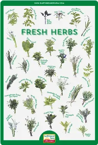 FRESH HERBS L O O F an an Chi Re Catn G G Ves N Ip E E C  H  N