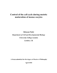 Control of the Cell Cycle During Meiotic Maturation of Mouse Oocytes