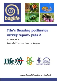 Pollinator Survey Report Year 2