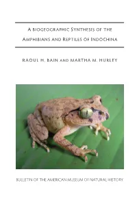 A Biogeographic Synthesis of the Amphibians and Reptiles of Indochina