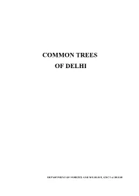 Common Trees of Delhi