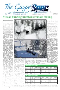 Moose Hunting Numbers Remain Strong