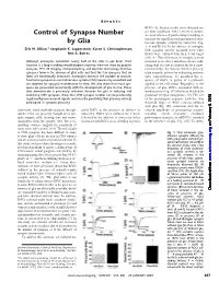 Control of Synapse Number by Glia Erik M