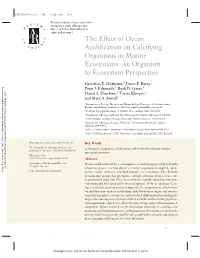 The Effect of Ocean Acidification on Calcifying Organisms in Marine