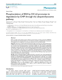 Theranostics Phosphorylation of IRS4 by Ck1γ2 Promotes Its Degradation