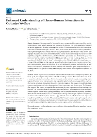 Enhanced Understanding of Horse–Human Interactions to Optimize Welfare