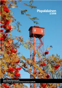 Pispalalainen 2/2008