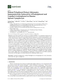 Walnut Polyphenol Extract Attenuates Immunotoxicity Induced by 4-Pentylphenol and 3-Methyl-4-Nitrophenol in Murine Splenic Lymphocyte