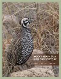 2010 Annual Report