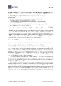 Cas3 Protein—A Review of a Multi-Tasking Machine