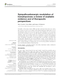 Sympathoadrenergic Modulation of Hematopoiesis: a Review of Available Evidence and of Therapeutic Perspectives