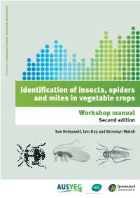 Identification of Insects, Spiders and Mites in Vegetable Crops Sue Heisswolf, Iain Kay and Walsh Bronwyn Workshop Manual Second Edition PR10–5258