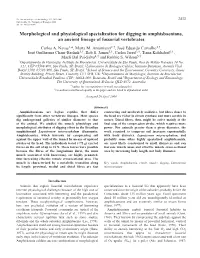Morphological and Physiological Specialization for Digging in Amphisbaenians, an Ancient Lineage of Fossorial Vertebrates Carlos A