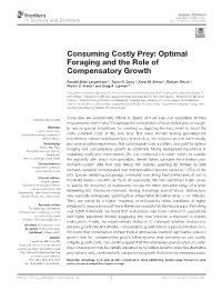Optimal Foraging and the Role of Compensatory Growth