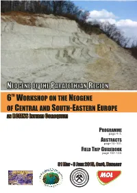 6 Workshop on the Neogene