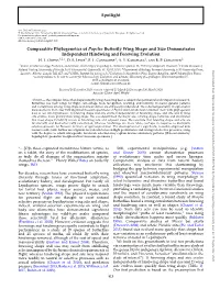 Spotlight Comparative Phylogenetics of Papilio