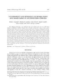 Vulnerability and Resilience of Sidama Enset and Maize Farms in Southwestern Ethiopia