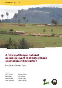 A Review of Kenya's National Policies Relevant to Climate Change Adaptation and Mitigation