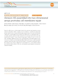 Annexin-A5 Assembled Into Two-Dimensional Arrays Promotes Cell Membrane Repair
