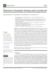 Composition of Transcription Machinery and Its Crosstalk with Nucleoid-Associated Proteins and Global Transcription Factors
