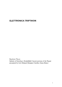 Elettronica Triptikon