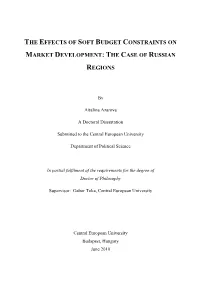 The Effects of Soft Budget Constraints on Market Development