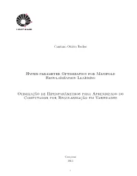 Hyper-Parameter Optimization for Manifold Regularization Learning