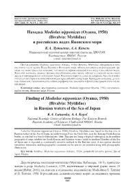 Находка Modiolus Nipponicus (Oyama, 1950) (Bivalvia: Mytilidae) В Российских Водах Японского Моря К.А